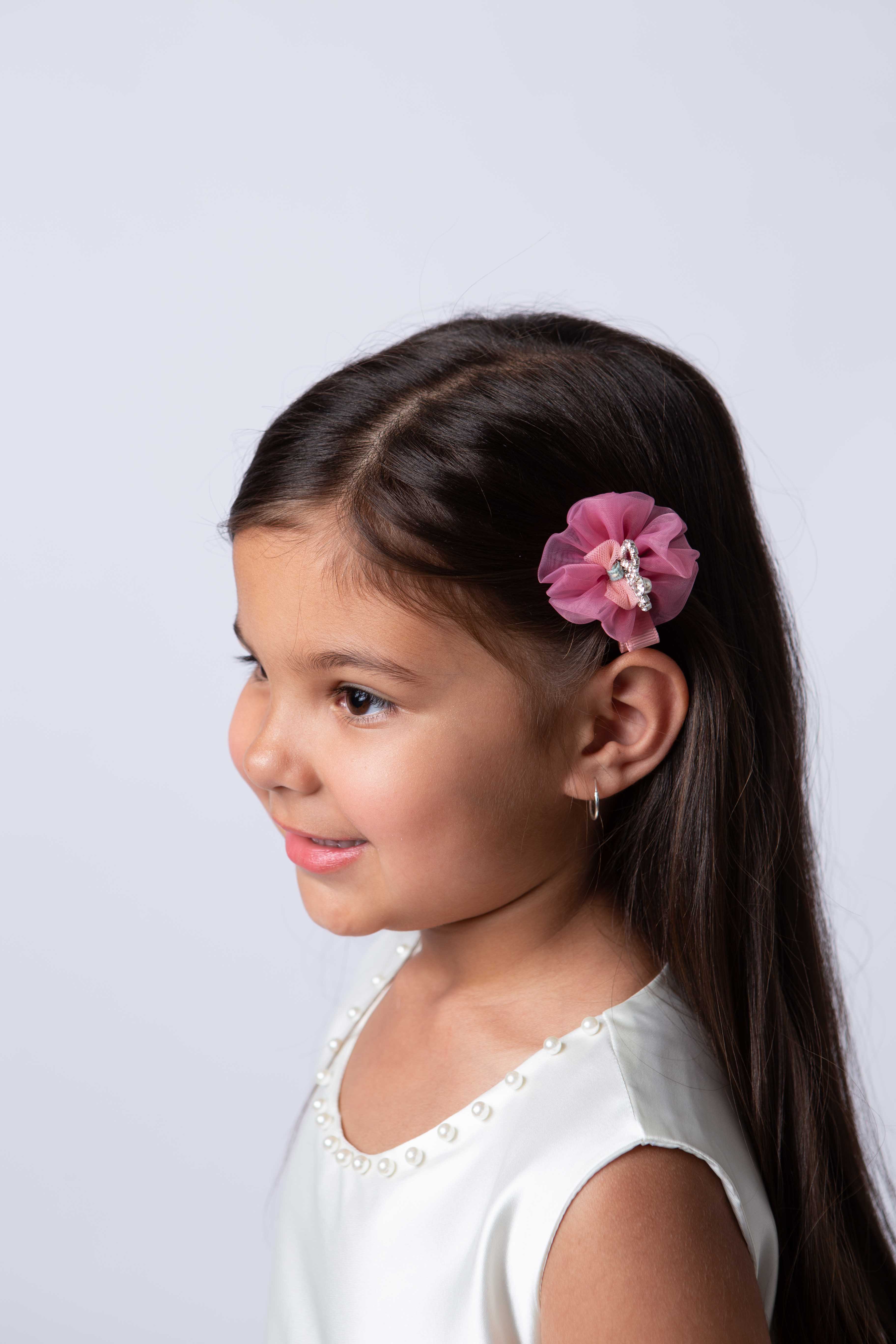 Tiara Hairpin With Net Detail